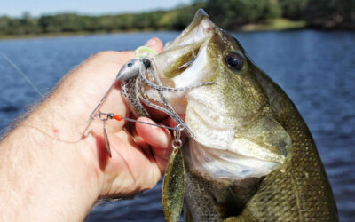 Elevate Your Fishing Game with Premium Spinnerbaits