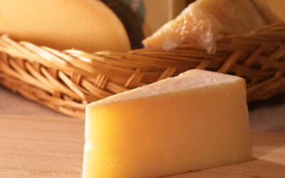 Hard Aged Cheese Before Bed May Enhance Lucid Dreaming