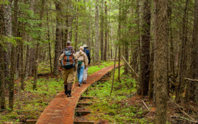 The Best Hiking Trails in Minnesota; Our Picks